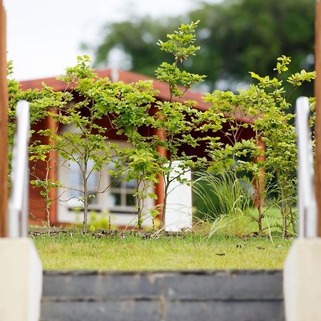Giltraps Townhouse & Glamping Hotel Kinnitty Buitenkant foto